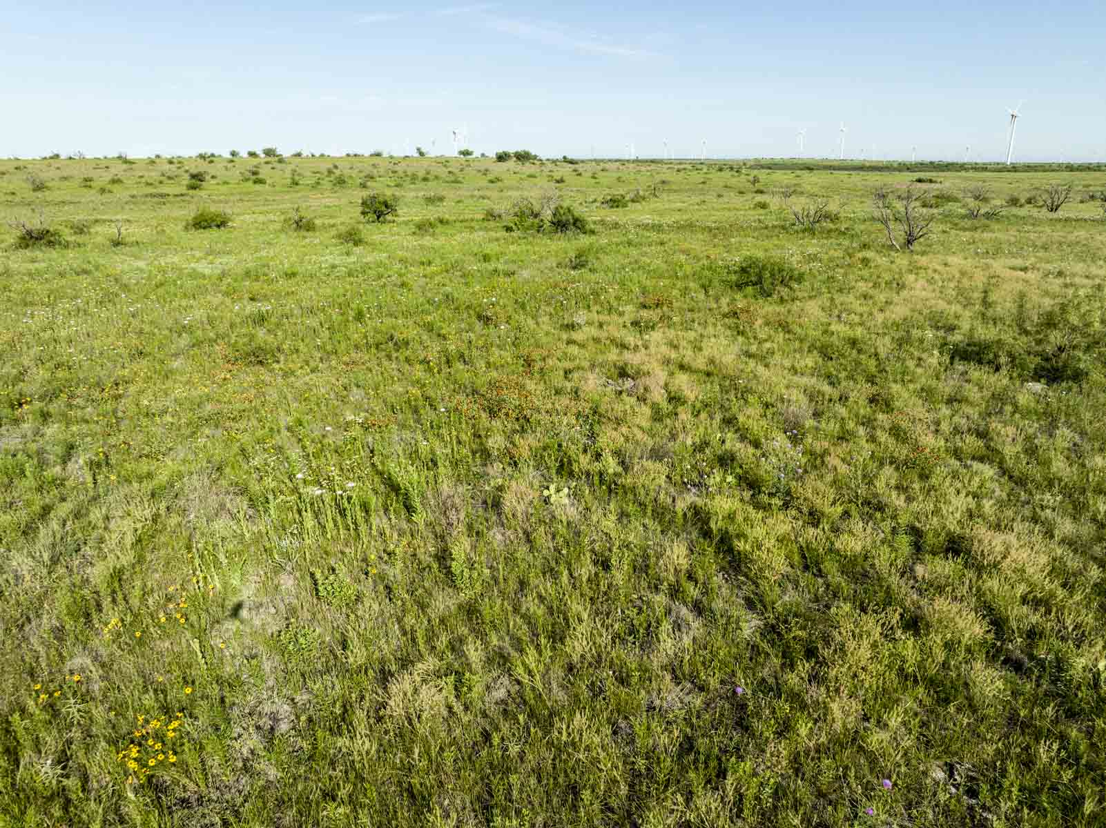 Crooked Tree Ranch property picture 65 of 68