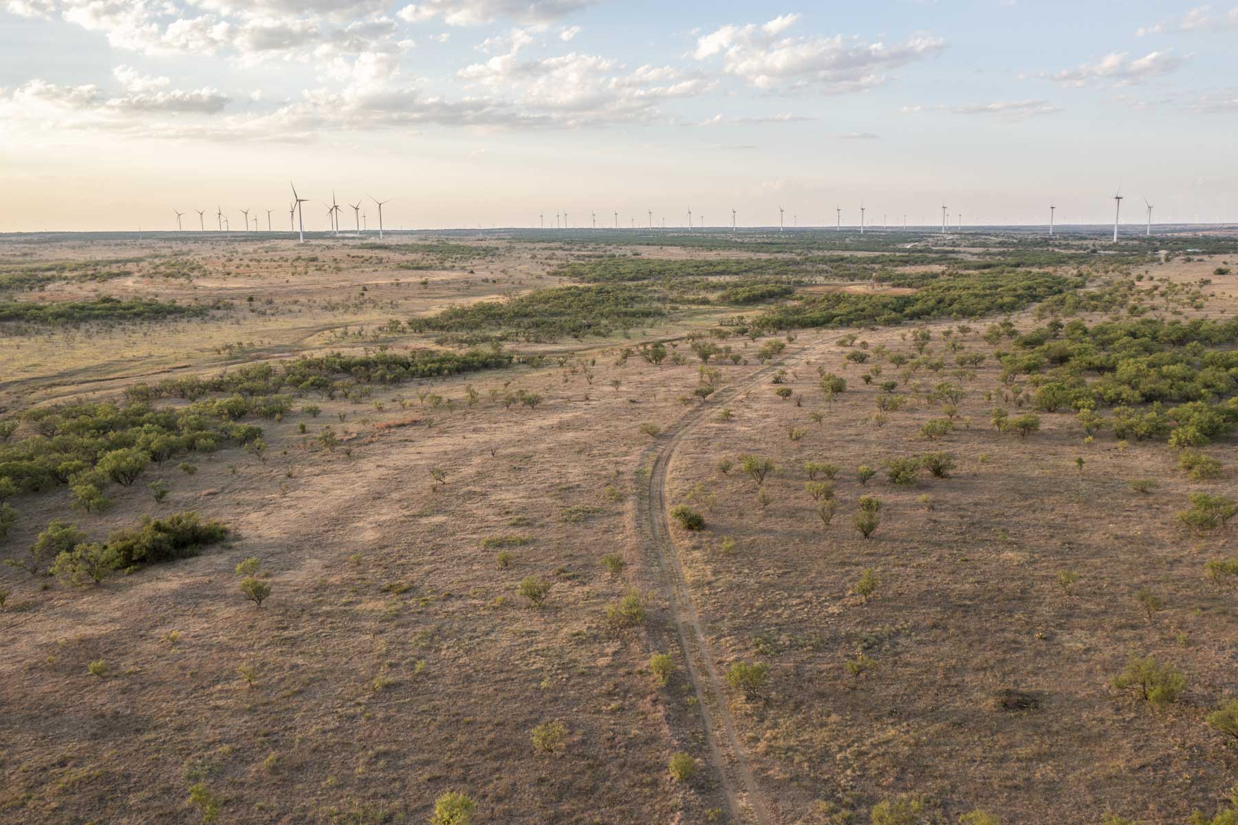 Crooked Tree Ranch property picture 25 of 68