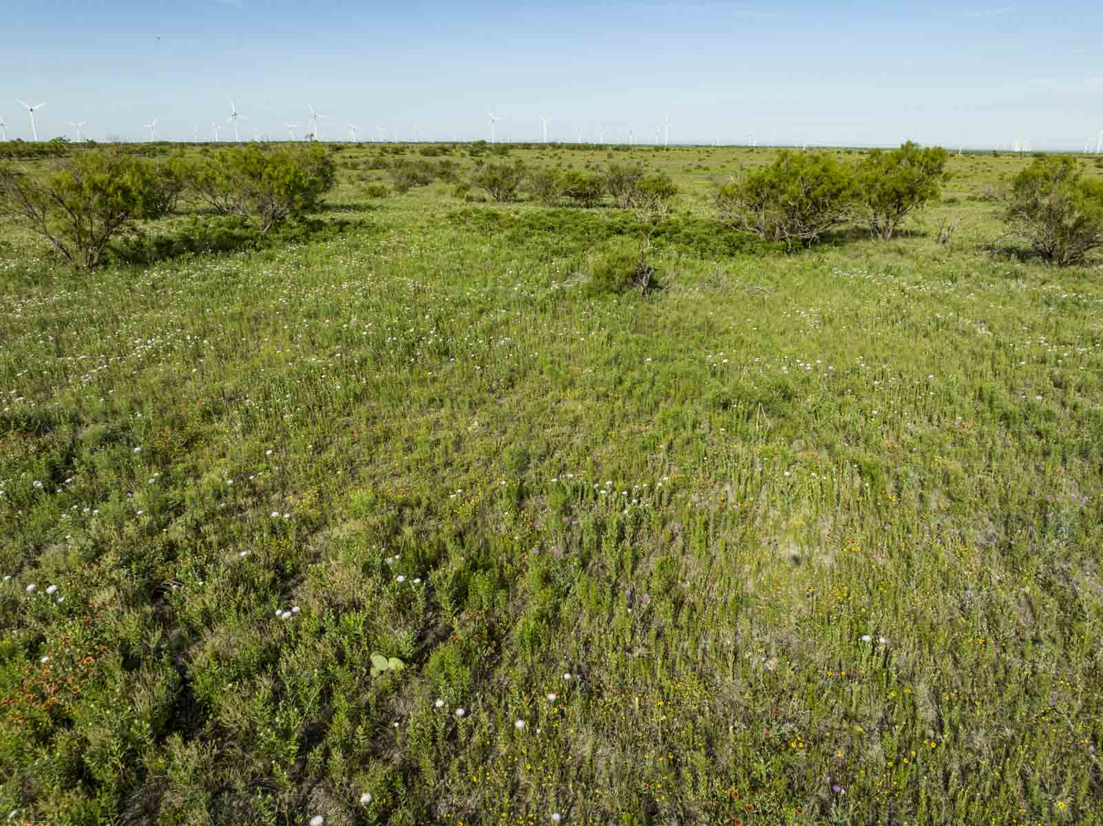 Crooked Tree Ranch property picture 62 of 68