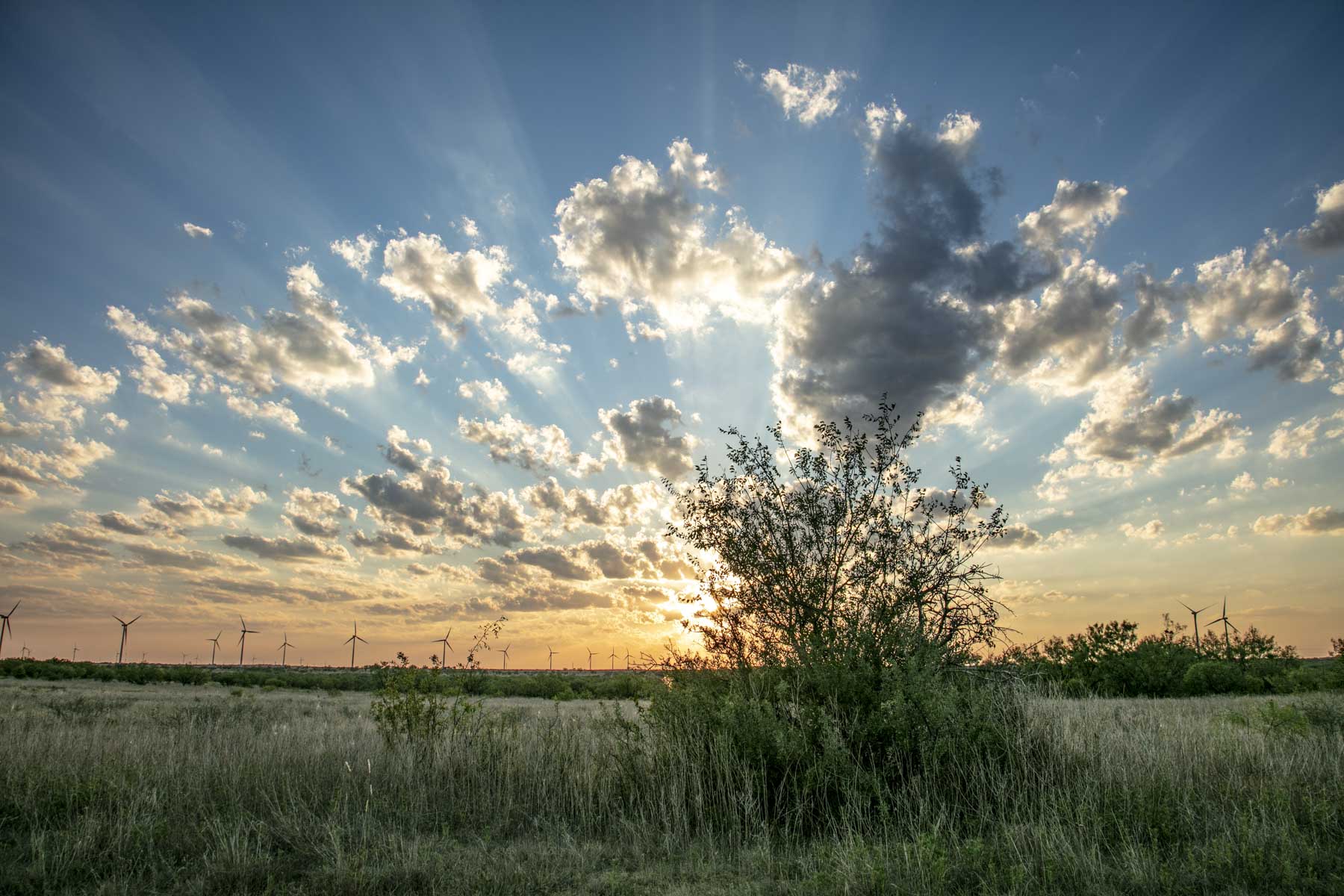 Crooked Tree Ranch property picture 46 of 68