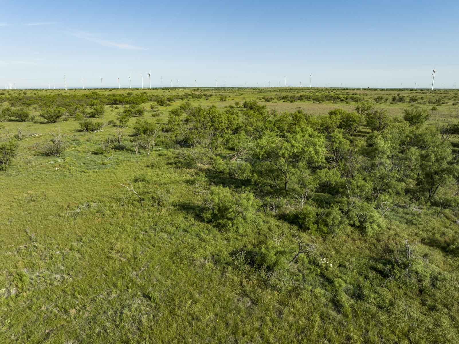 Crooked Tree Ranch property picture 60 of 68