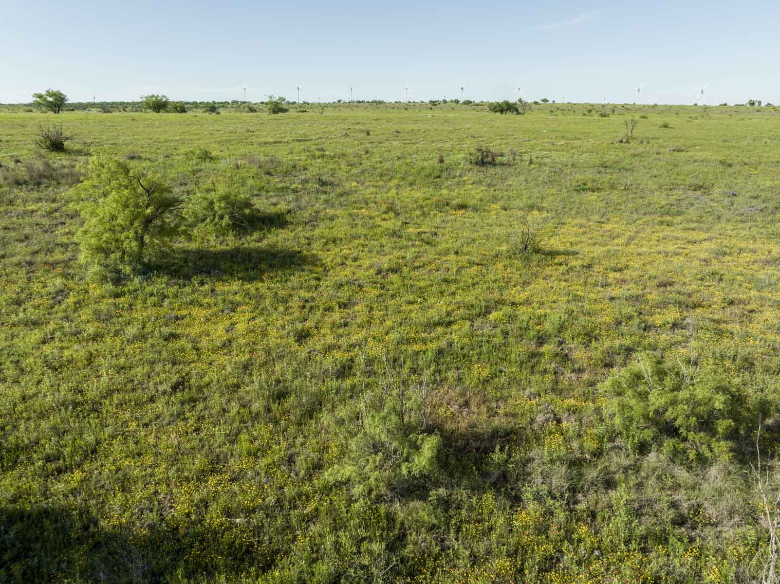 Crooked Tree Ranch property picture 67 of 68