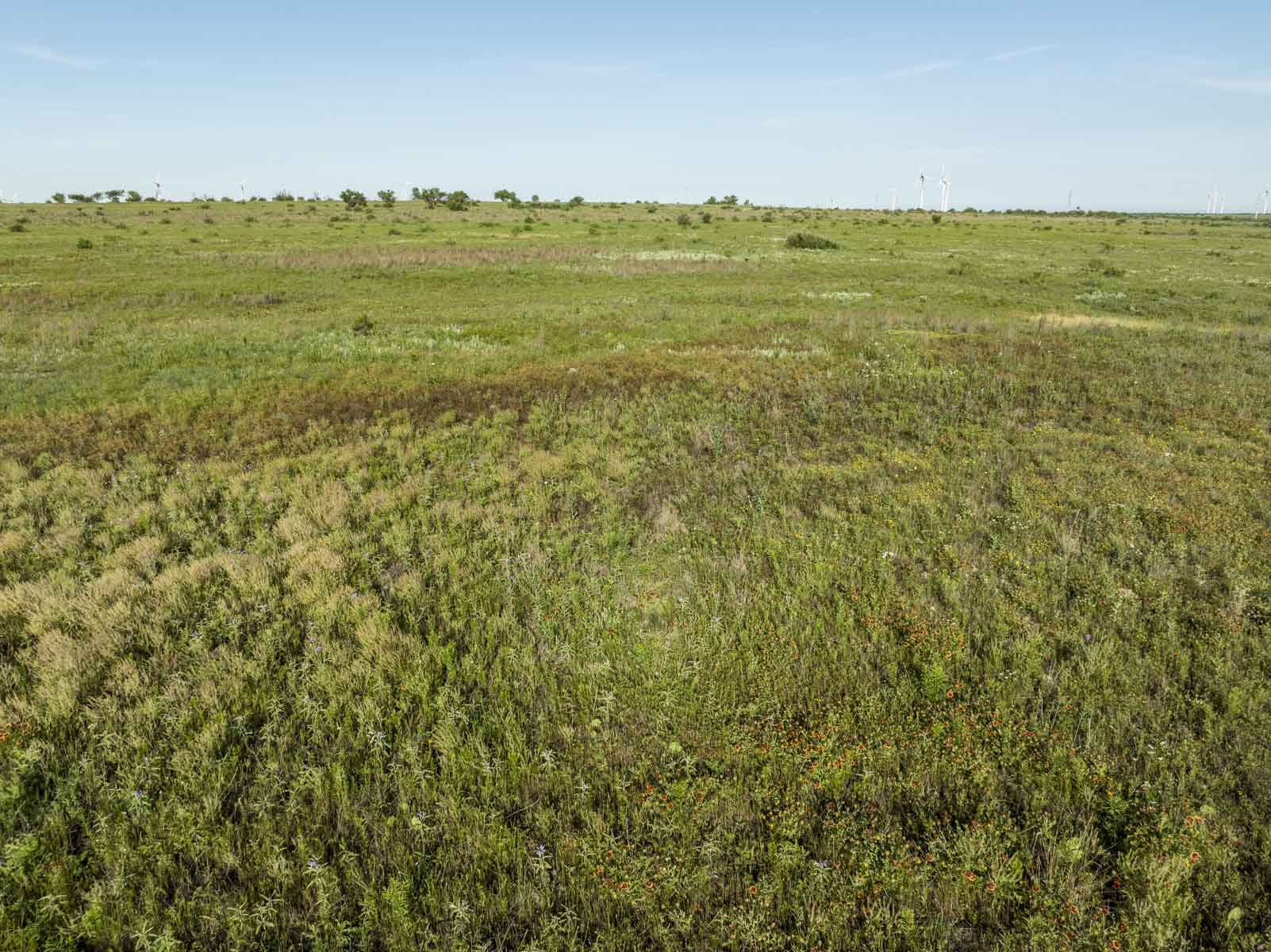 Crooked Tree Ranch property picture 37 of 68