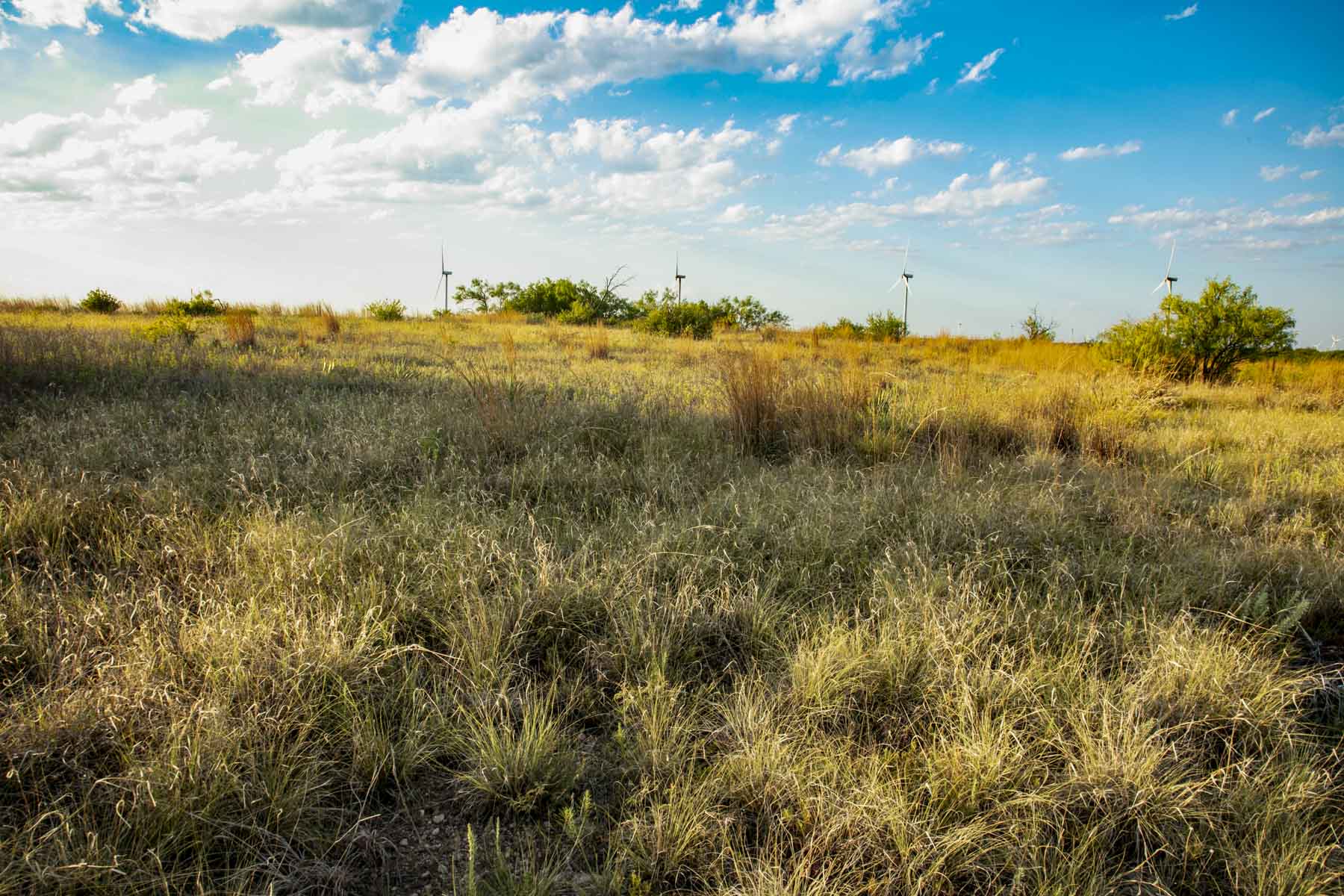 Crooked Tree Ranch property picture 51 of 68