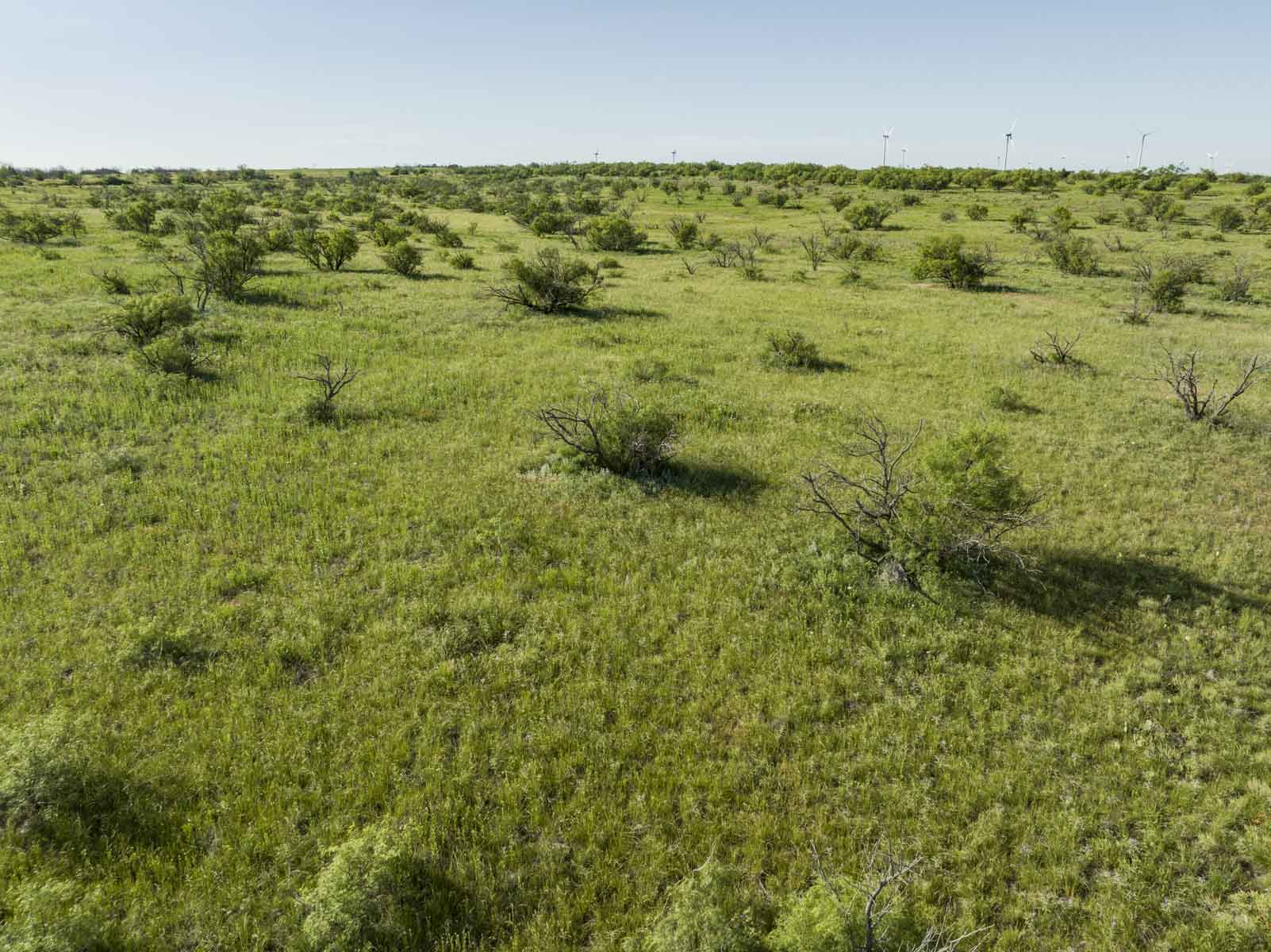 Crooked Tree Ranch property picture 64 of 68