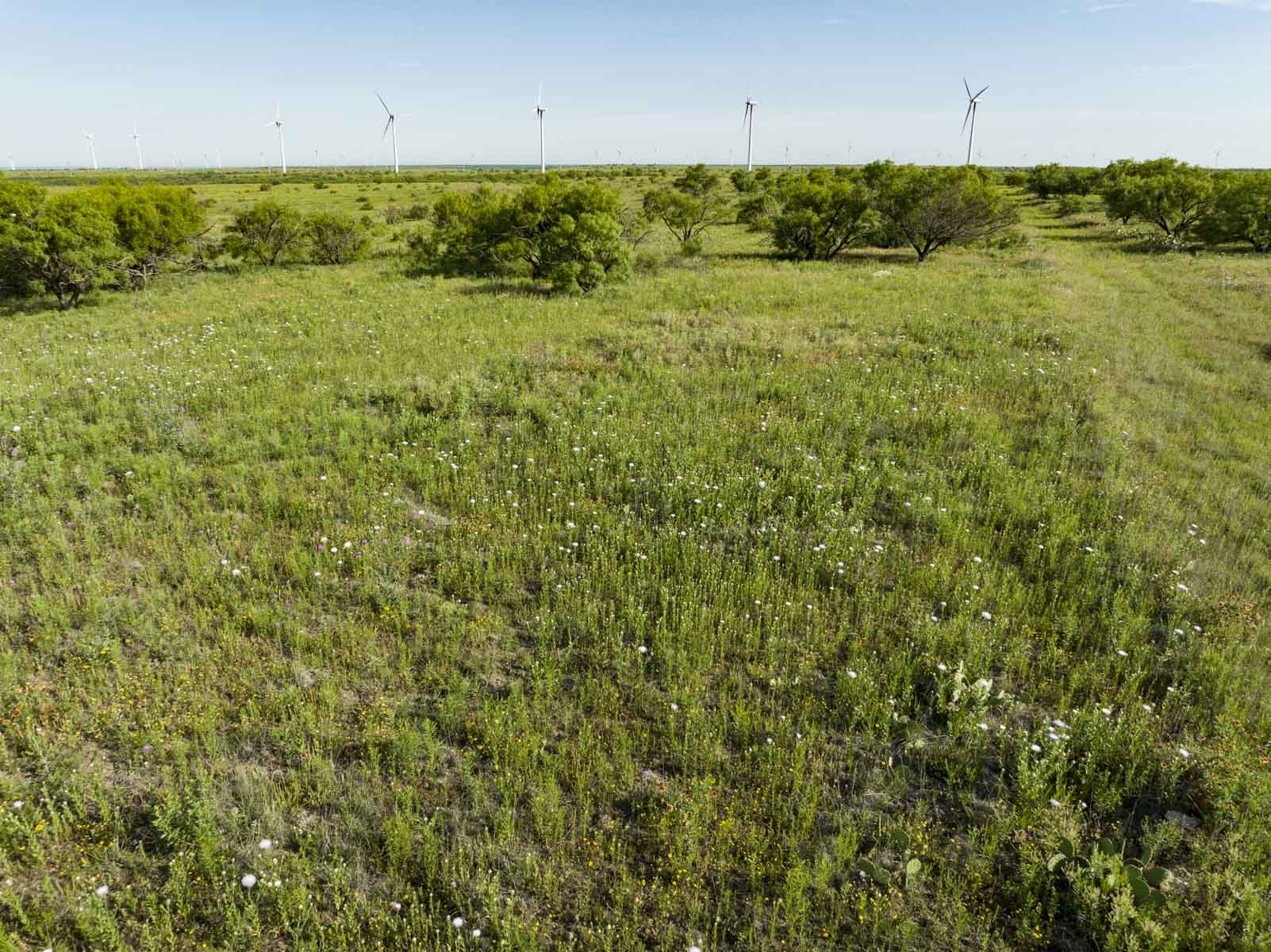 Crooked Tree Ranch property picture 63 of 68