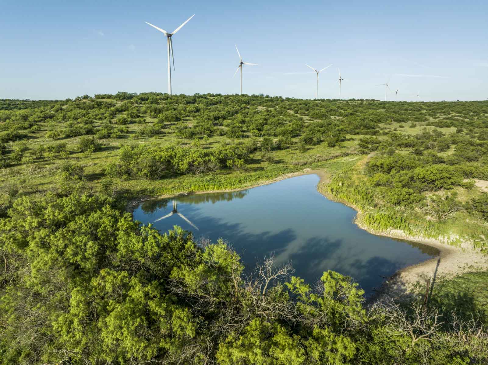 Crooked Tree Ranch property picture 2 of 68