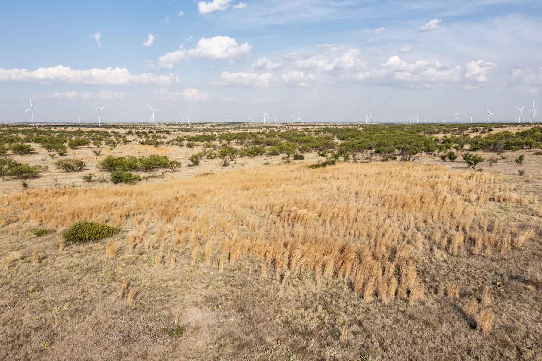 Crooked Tree Ranch property picture 55 of 68