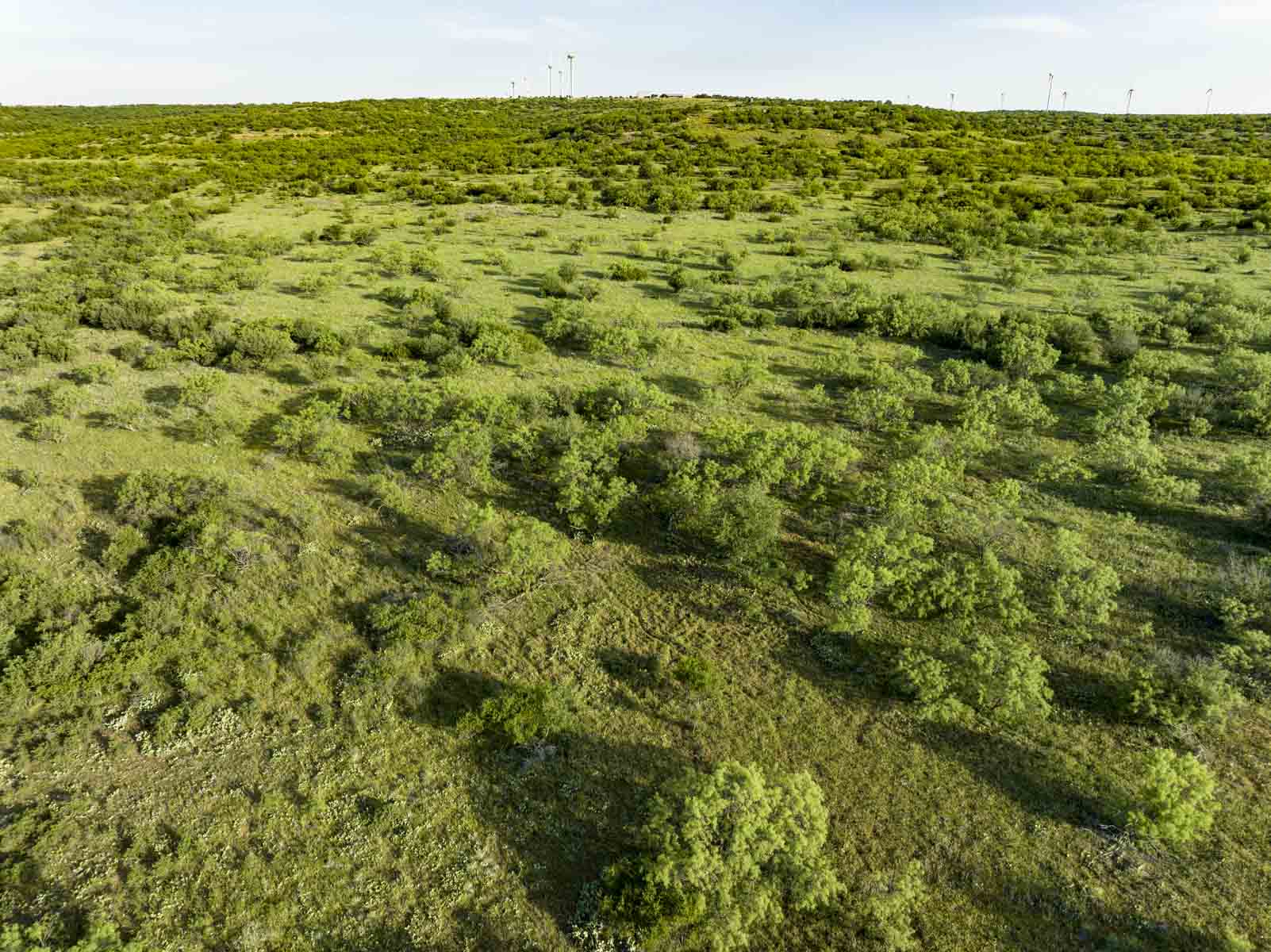 Crooked Tree Ranch property picture 22 of 68