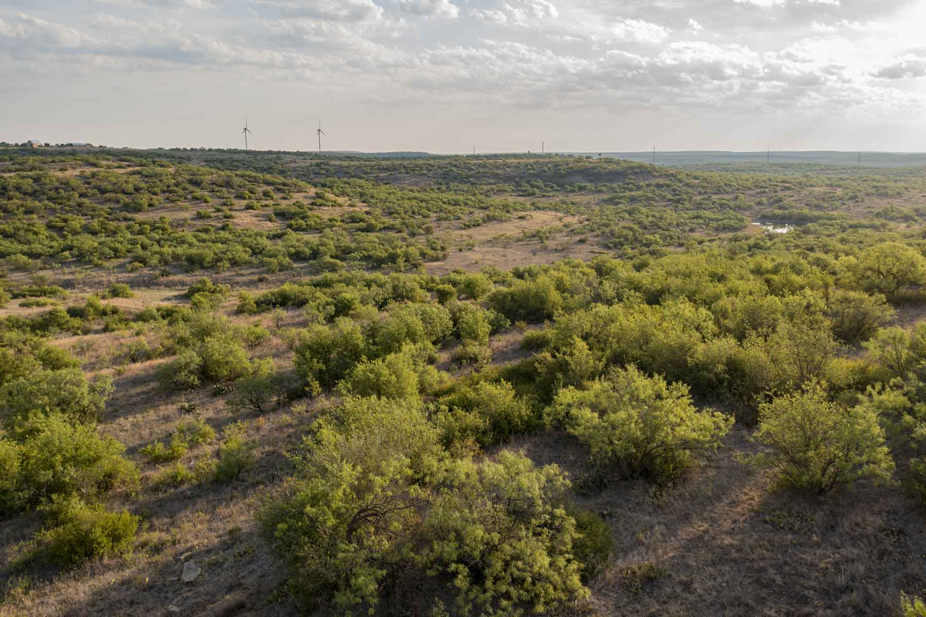 Crooked Tree Ranch property picture 31 of 68