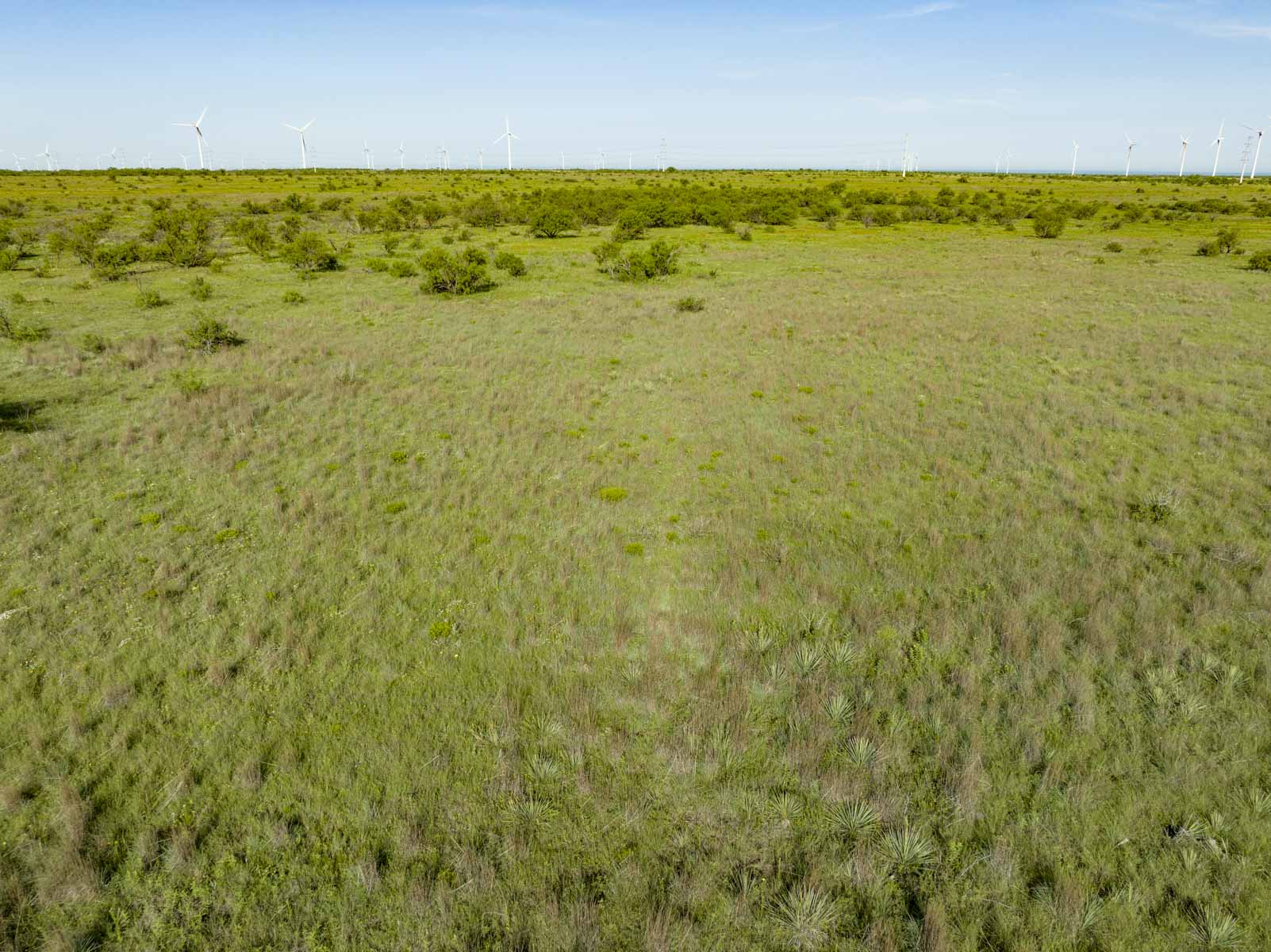 Crooked Tree Ranch property picture 61 of 68