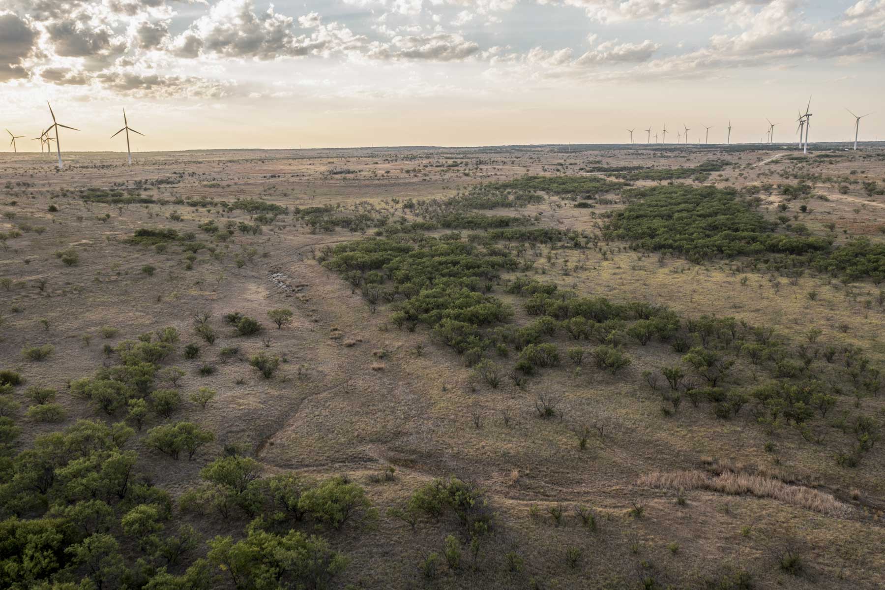 Crooked Tree Ranch property picture 27 of 68