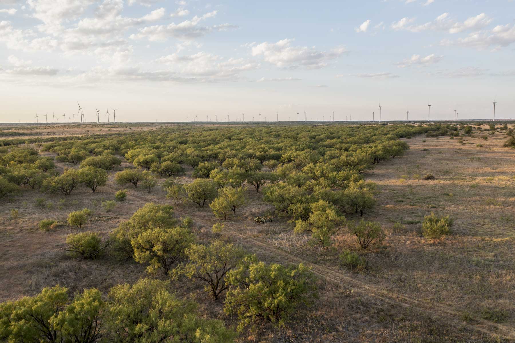 Crooked Tree Ranch property picture 24 of 68
