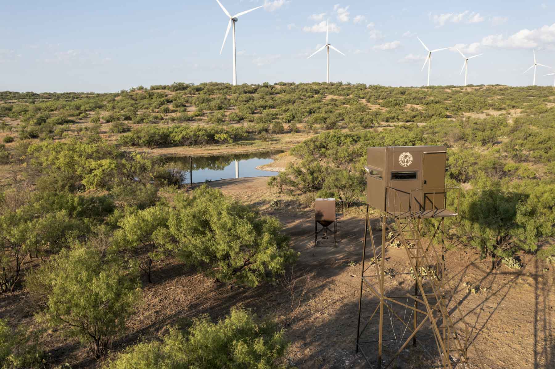 Crooked Tree Ranch property picture 20 of 68