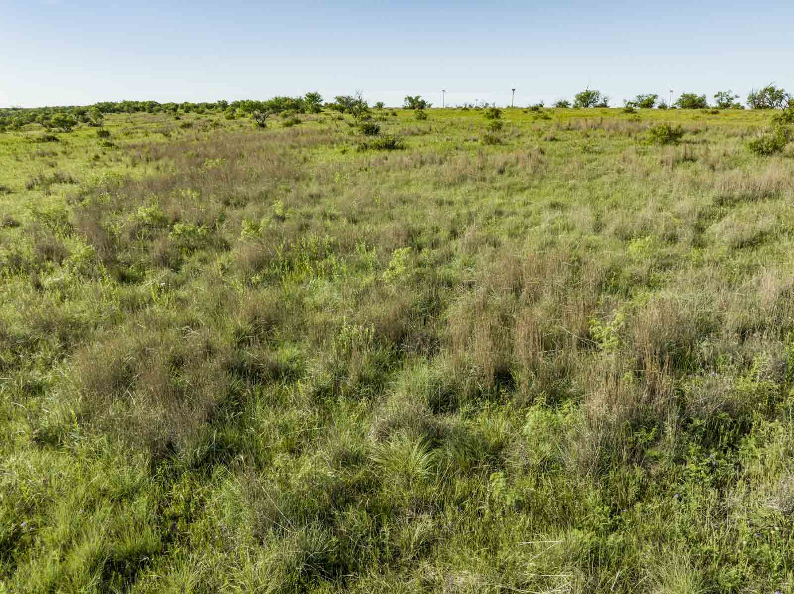 Crooked Tree Ranch property picture 58 of 68