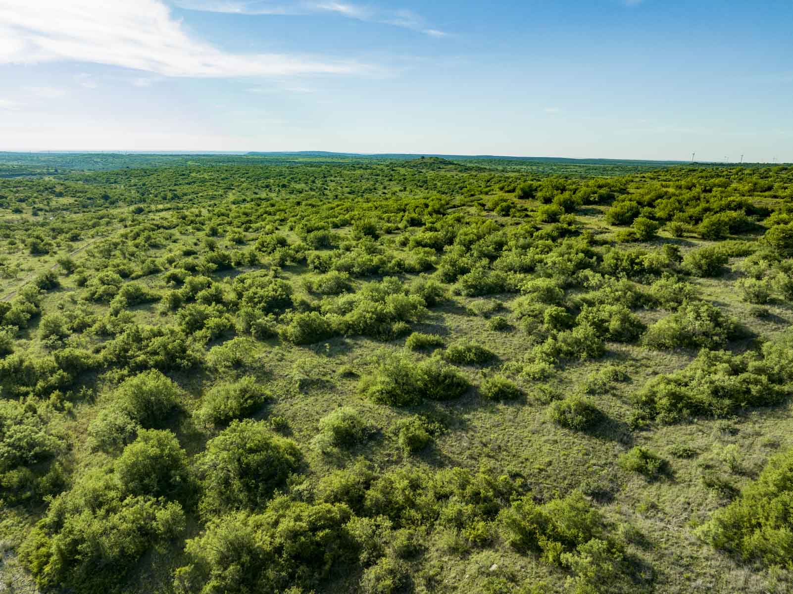 Crooked Tree Ranch property picture 35 of 68