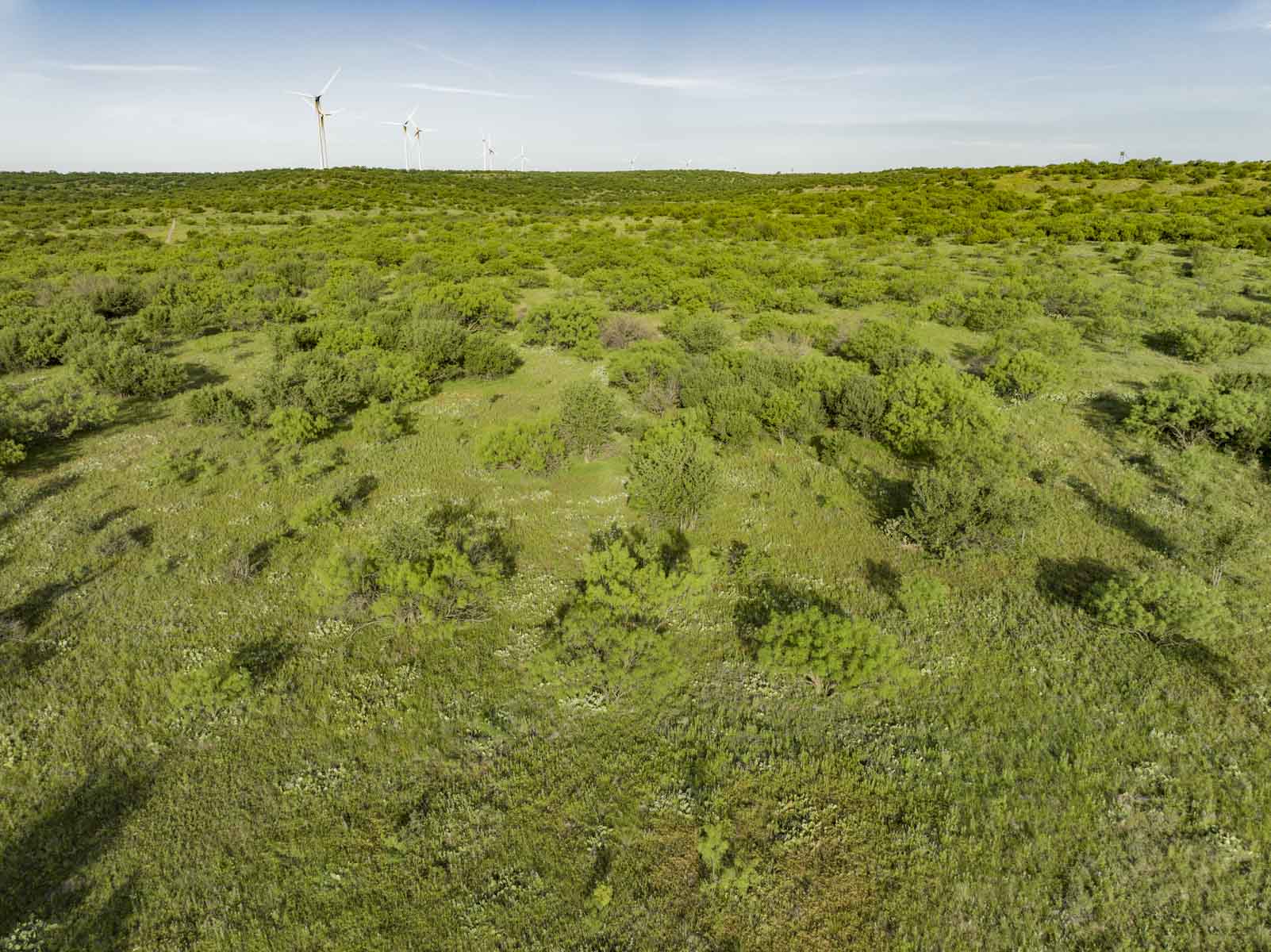 Crooked Tree Ranch property picture 23 of 68