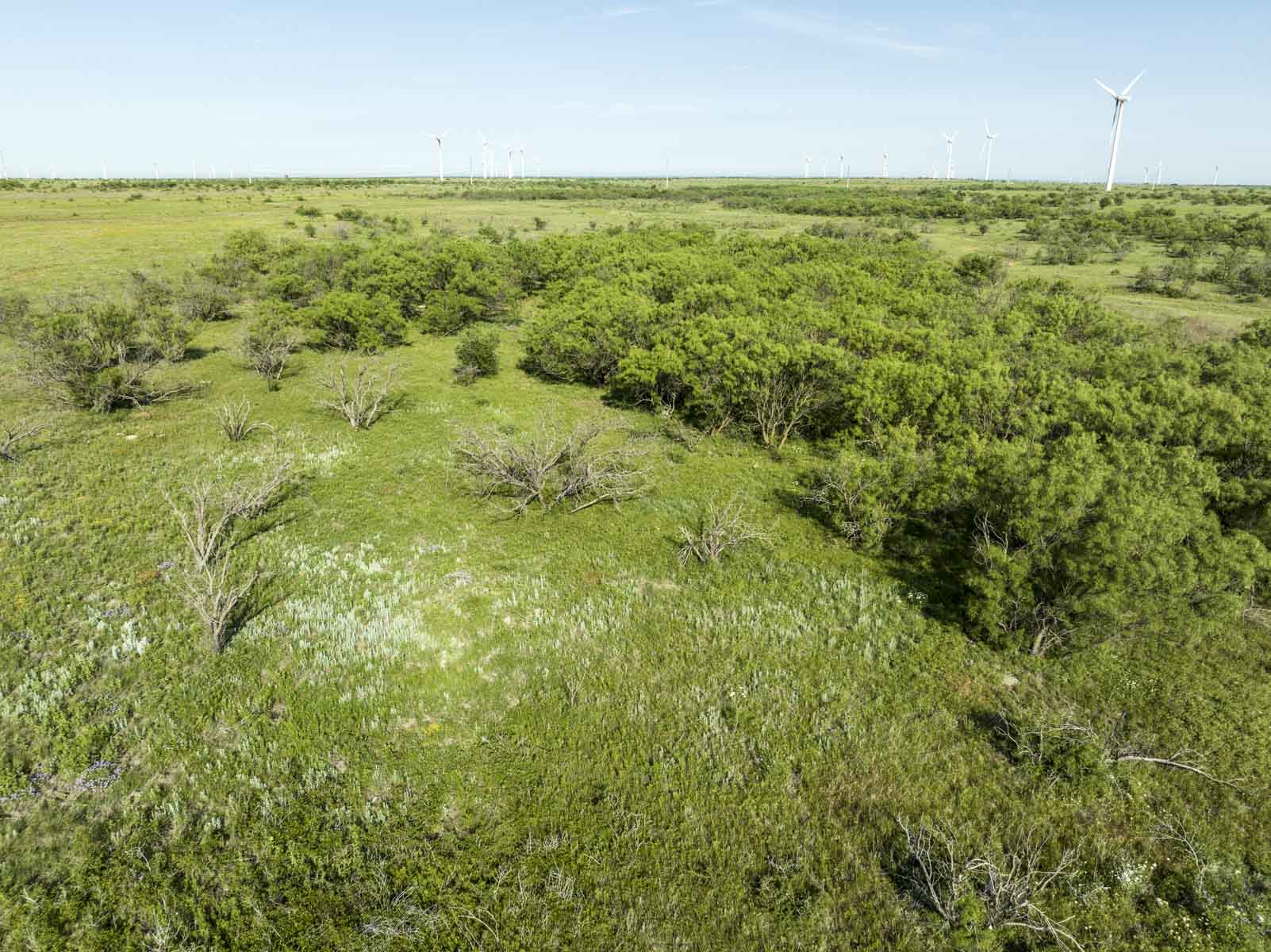 Crooked Tree Ranch property picture 66 of 68