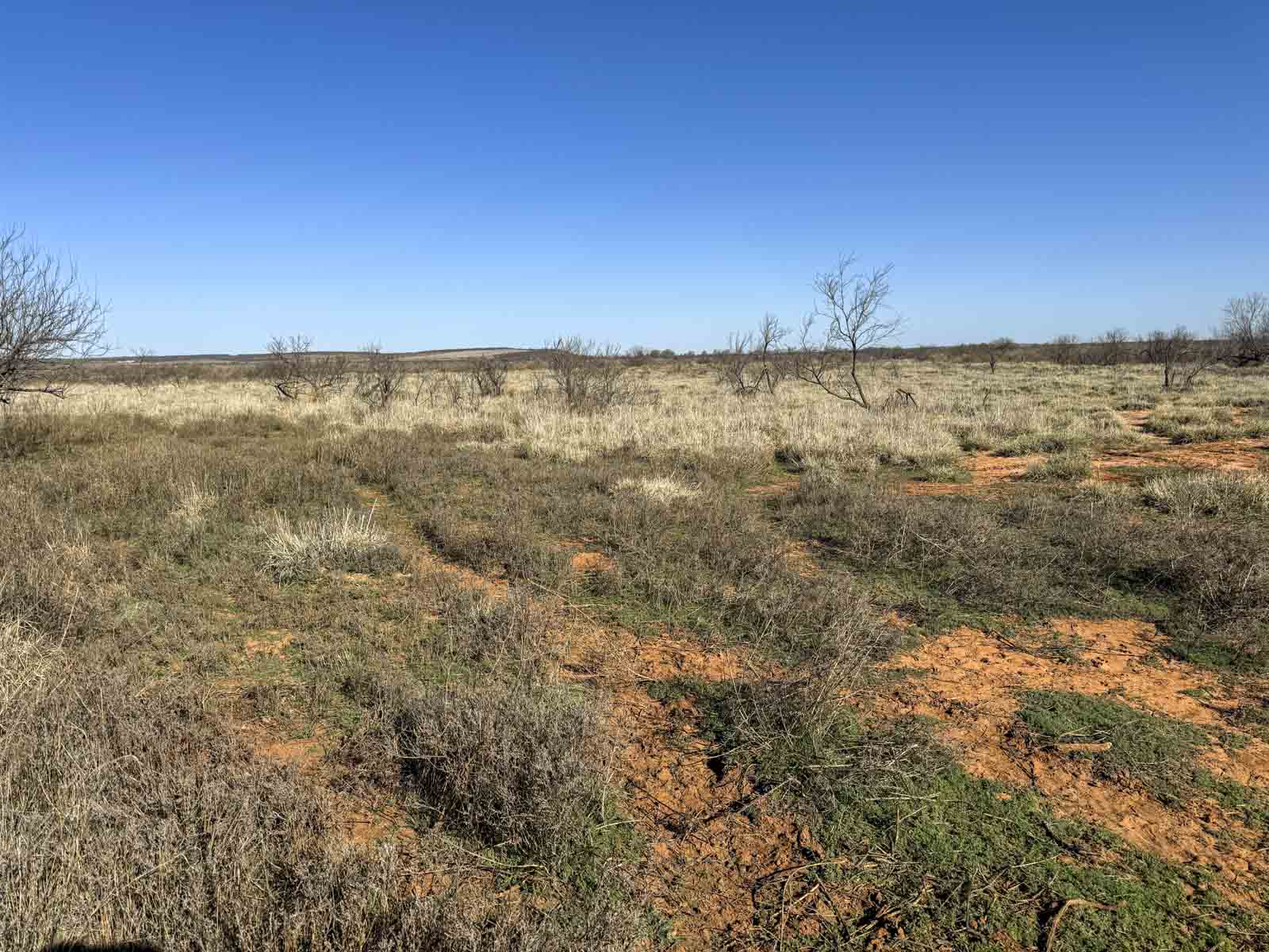 Little Red River Ranch property picture 26 of 59