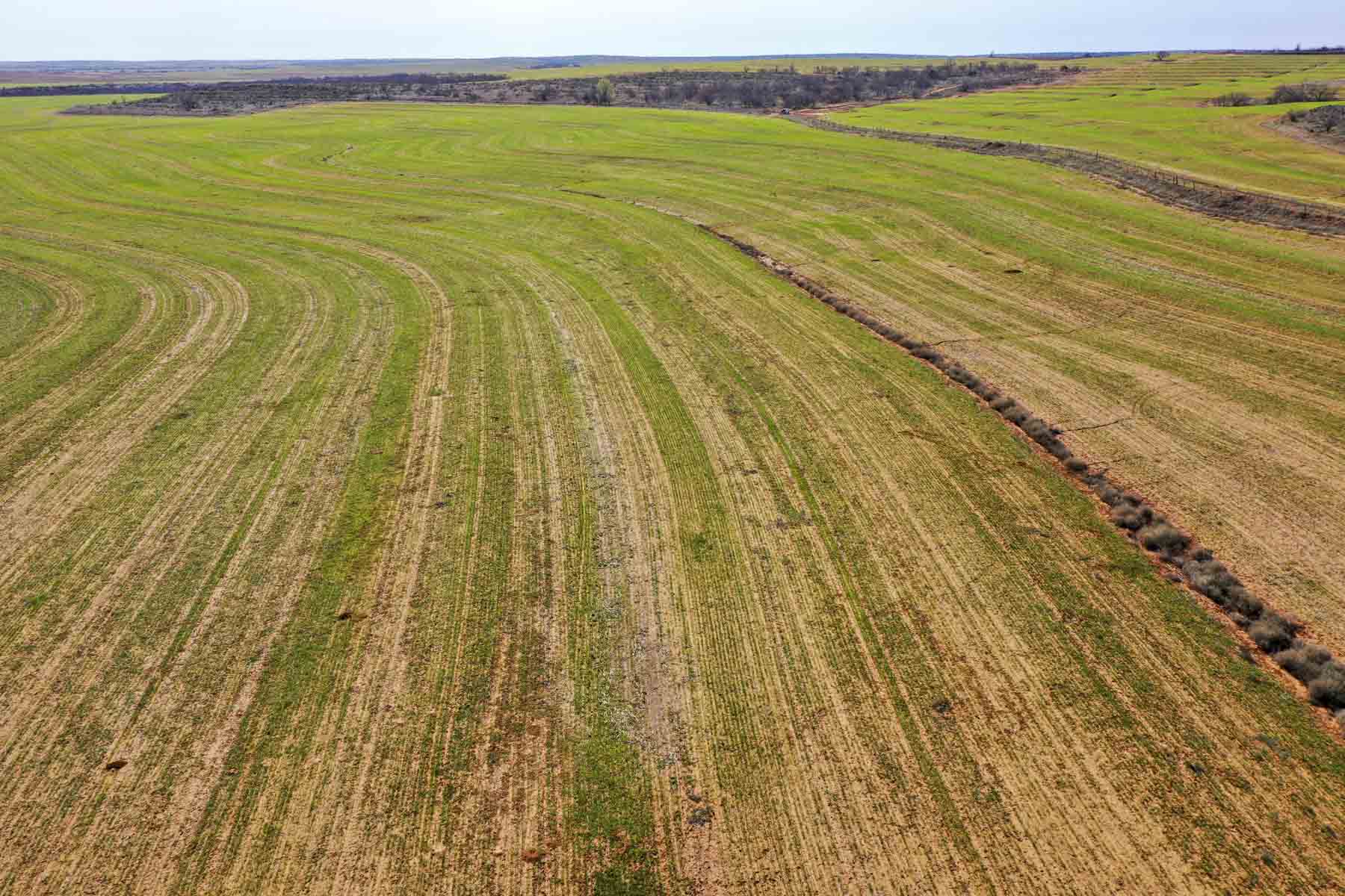 Little Red River Ranch property picture 35 of 59