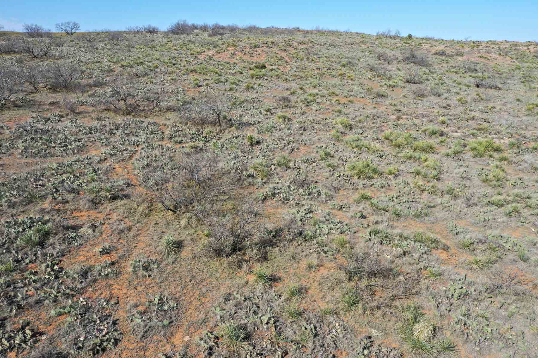 Little Red River Ranch property picture 37 of 59