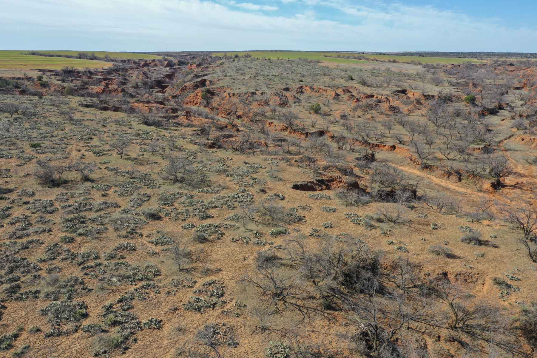 Little Red River Ranch property picture 40 of 59
