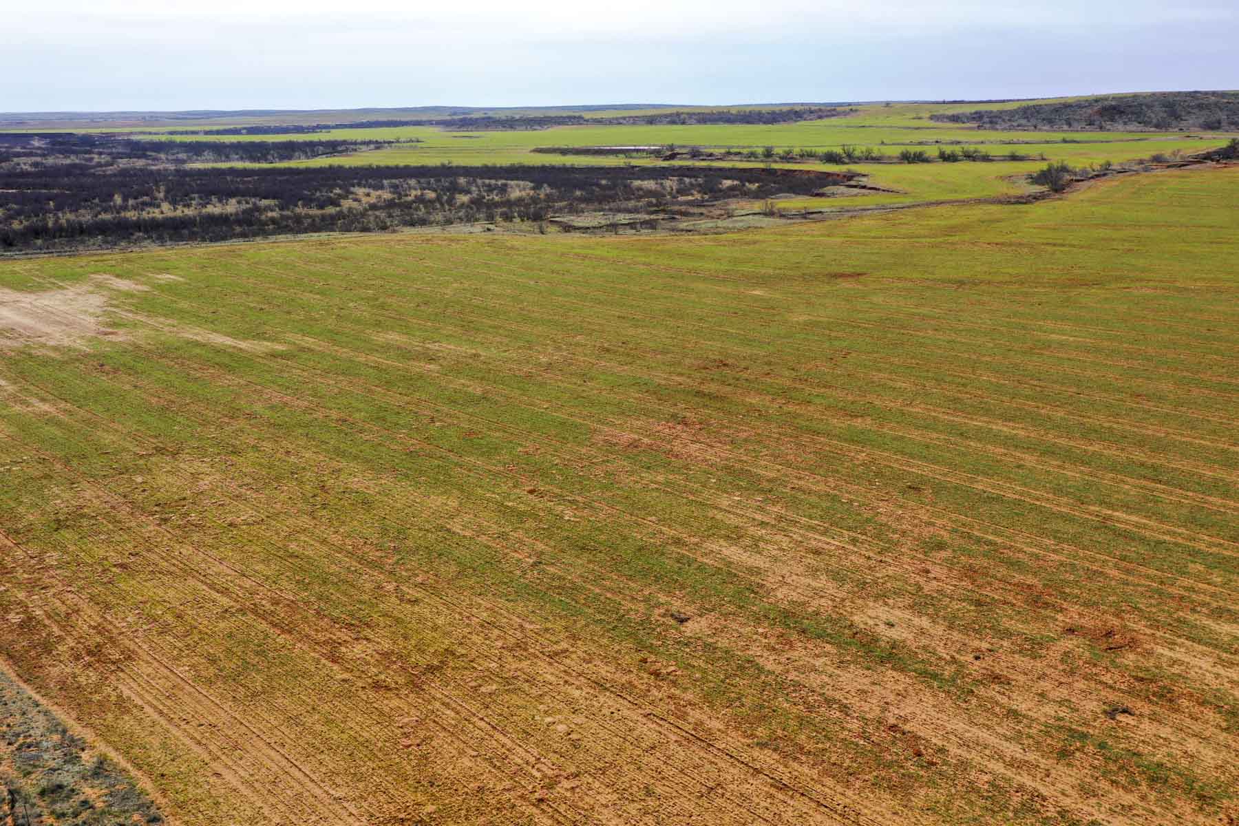 Little Red River Ranch property picture 18 of 59