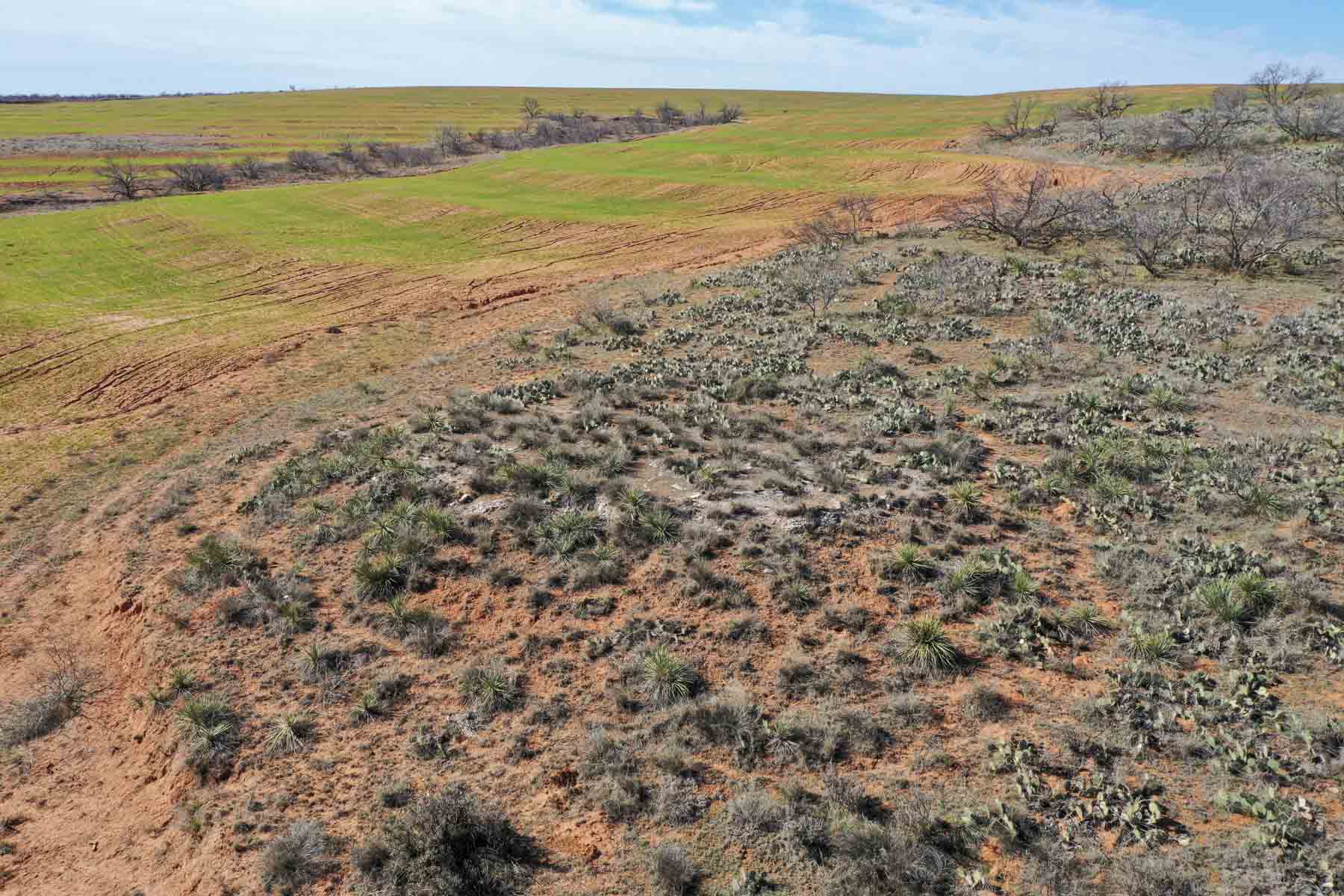 Little Red River Ranch property picture 38 of 59