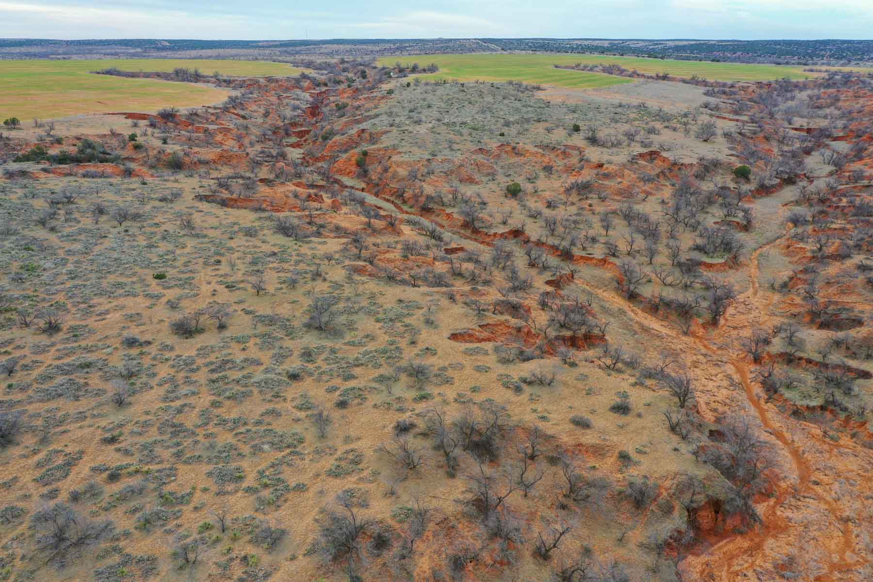Little Red River Ranch property picture 6 of 59