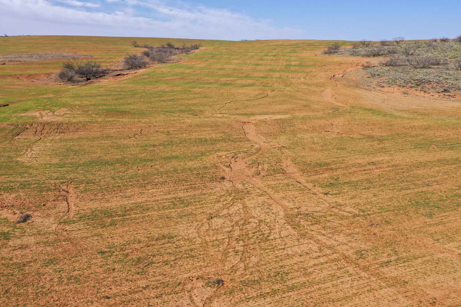 Little Red River Ranch property picture 36 of 59