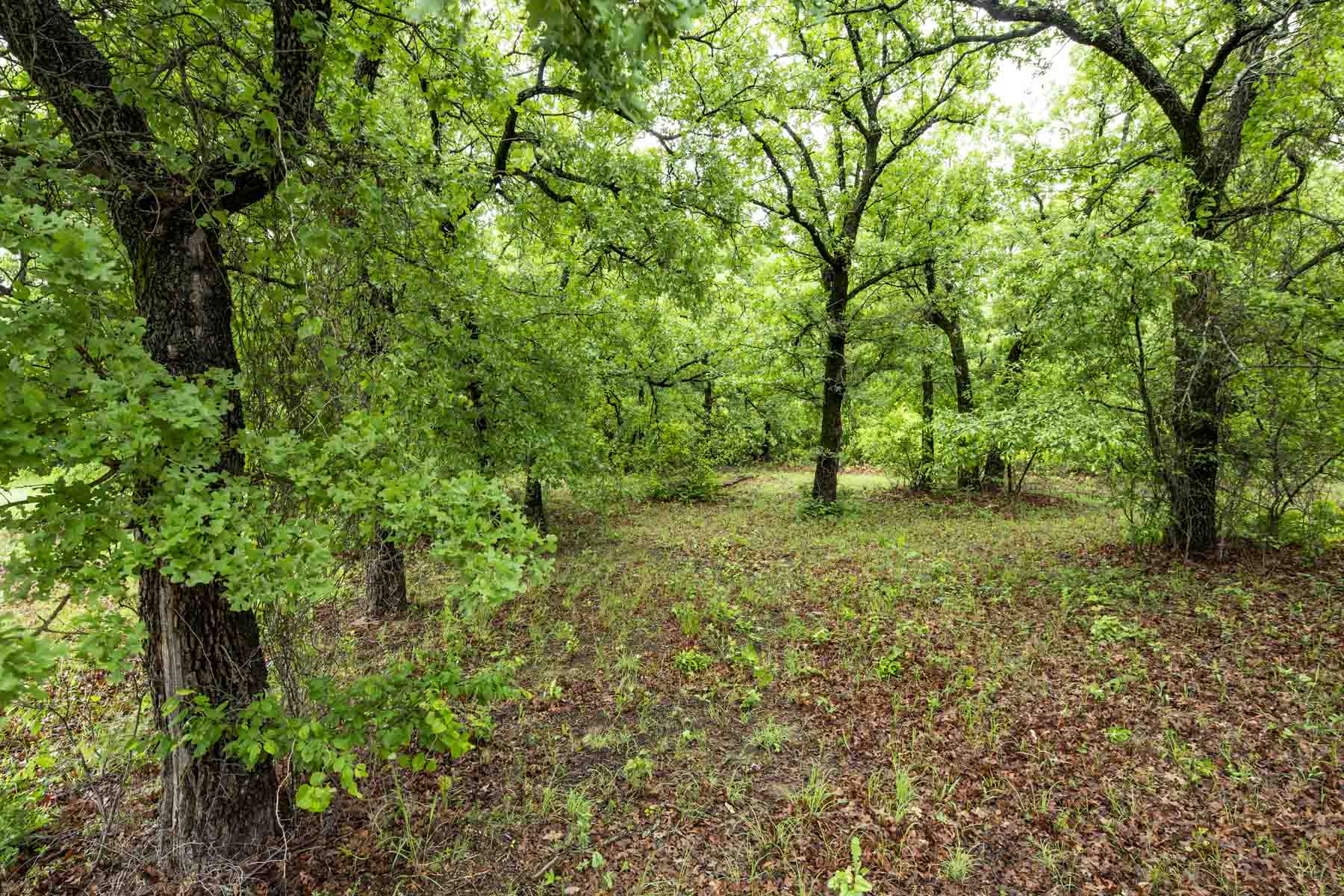 Winding Creek Ranch property picture 29 of 29