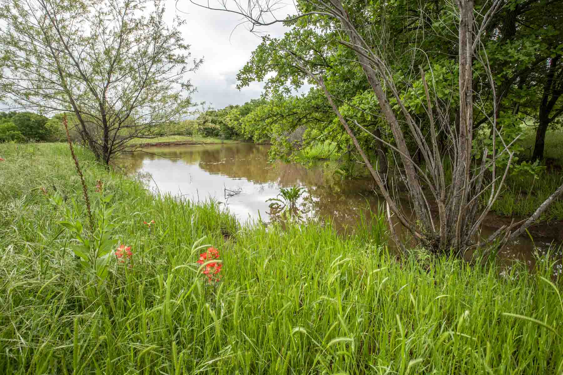 Winding Creek Ranch property picture 19 of 29