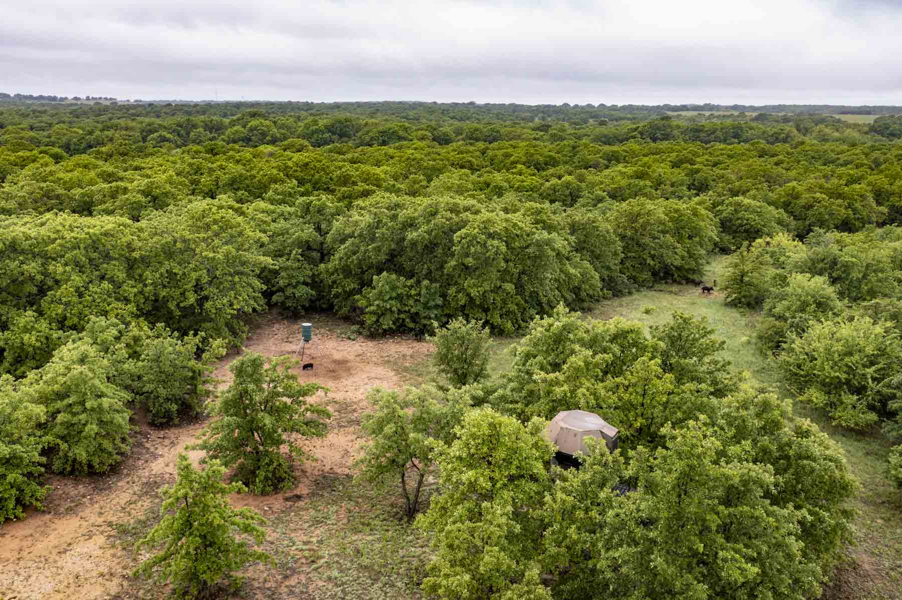 Winding Creek Ranch property picture 3 of 29