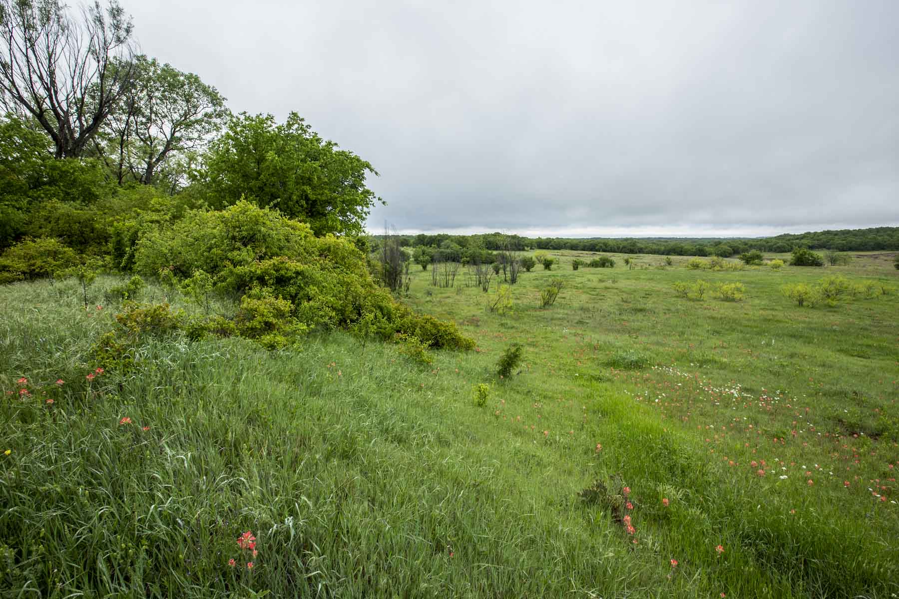 Winding Creek Ranch property picture 18 of 29