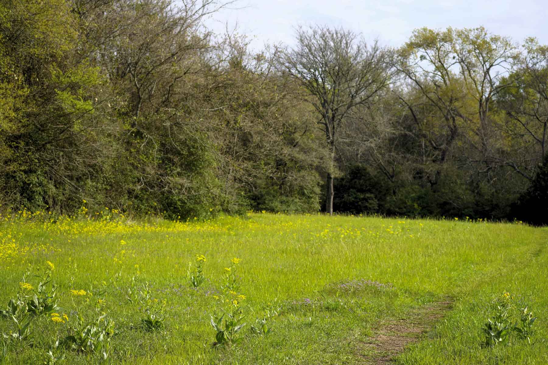 Melton Branch Ranch property picture 21 of 25