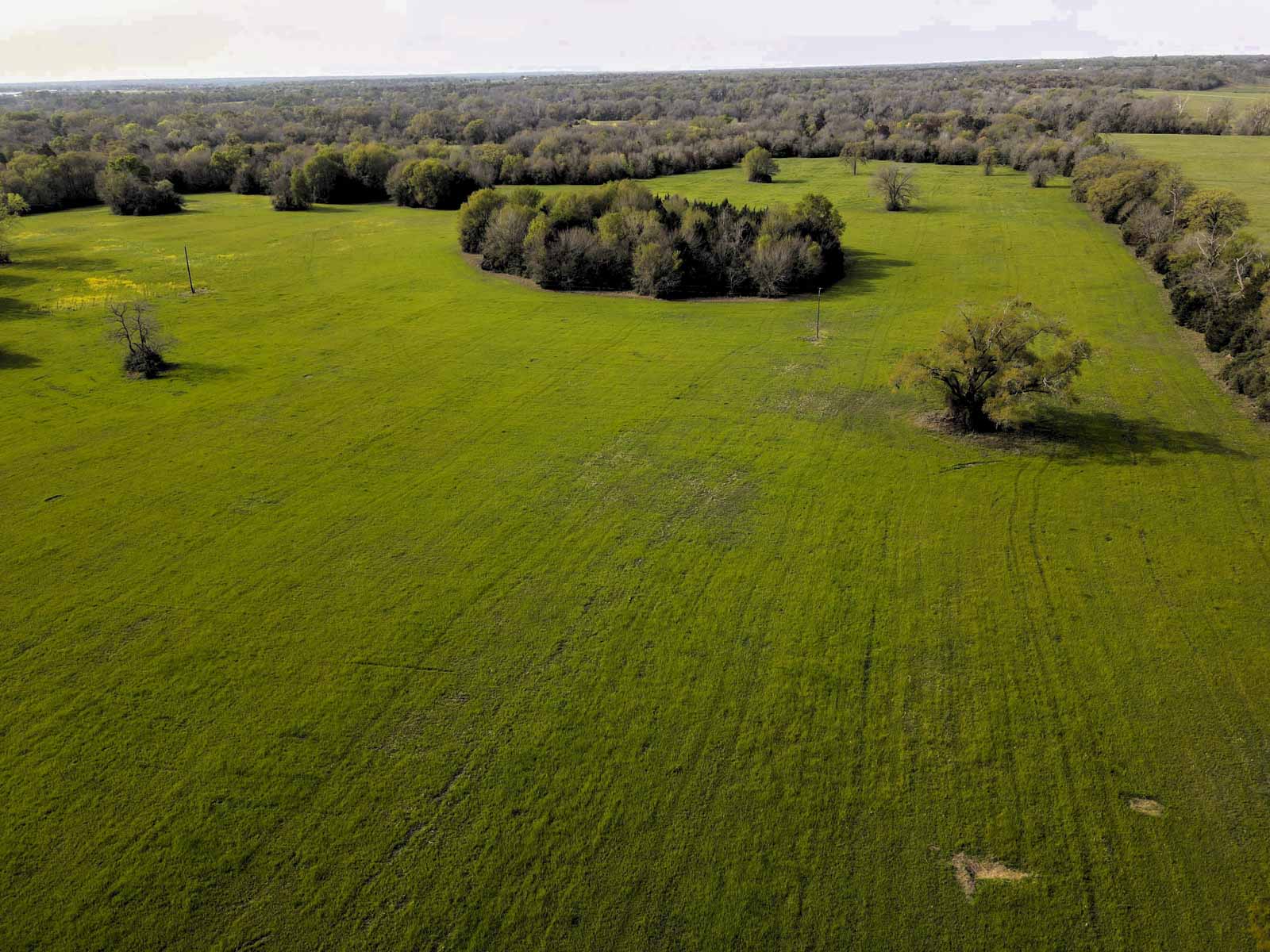 Melton Branch Ranch property picture 20 of 25