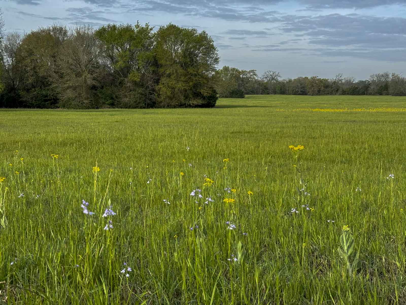 Melton Branch Ranch property picture 22 of 25