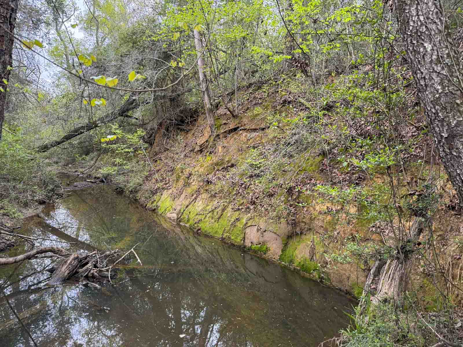 Melton Branch Ranch property picture 12 of 25