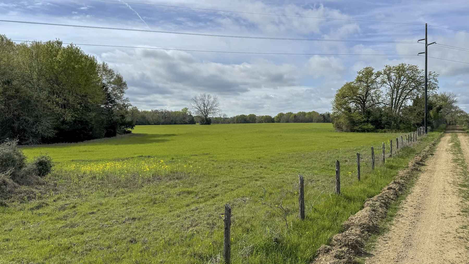 Melton Branch Ranch property picture 11 of 25