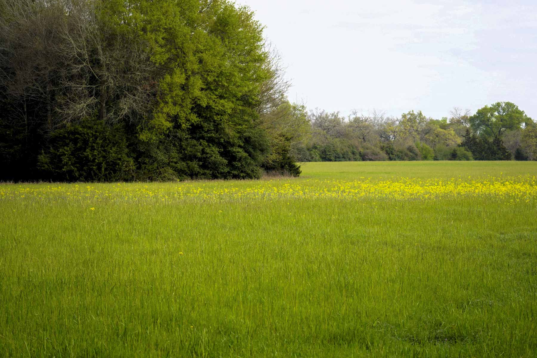 Melton Branch Ranch property picture 24 of 25