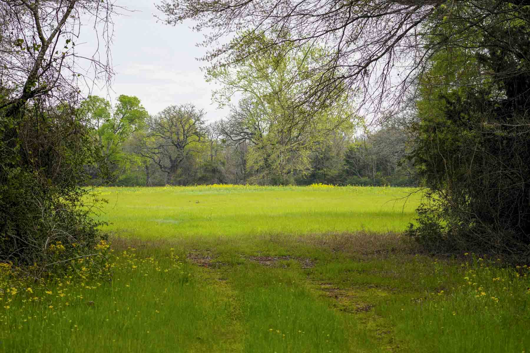 Melton Branch Ranch property picture 9 of 25