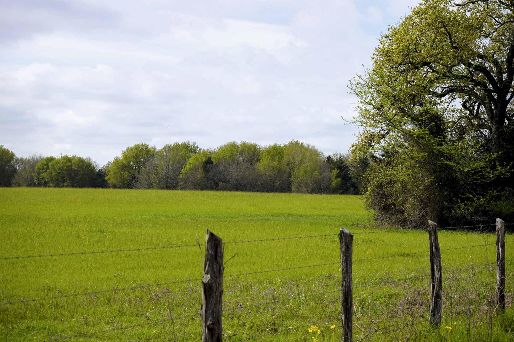 Melton Branch Ranch property picture 10 of 25