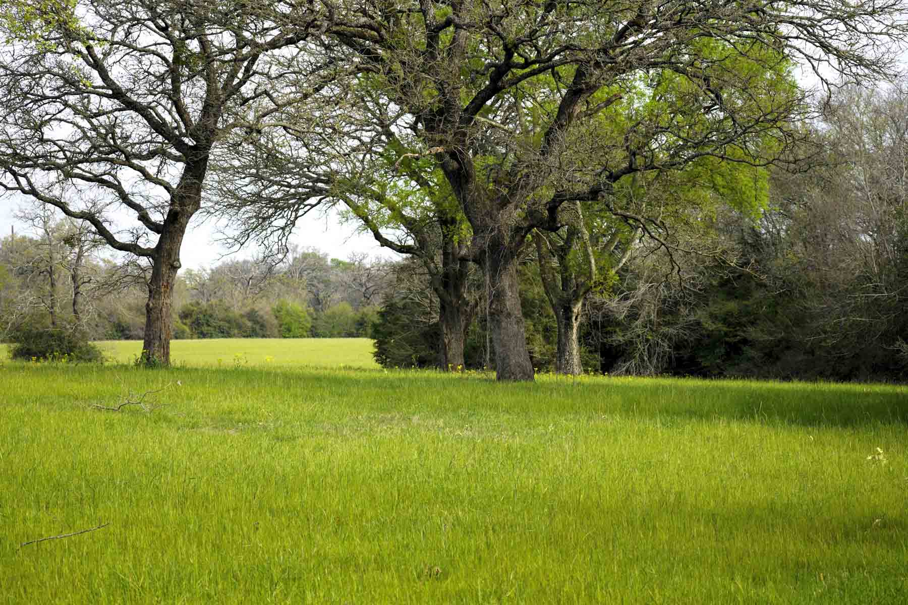 Melton Branch Ranch property picture 3 of 25