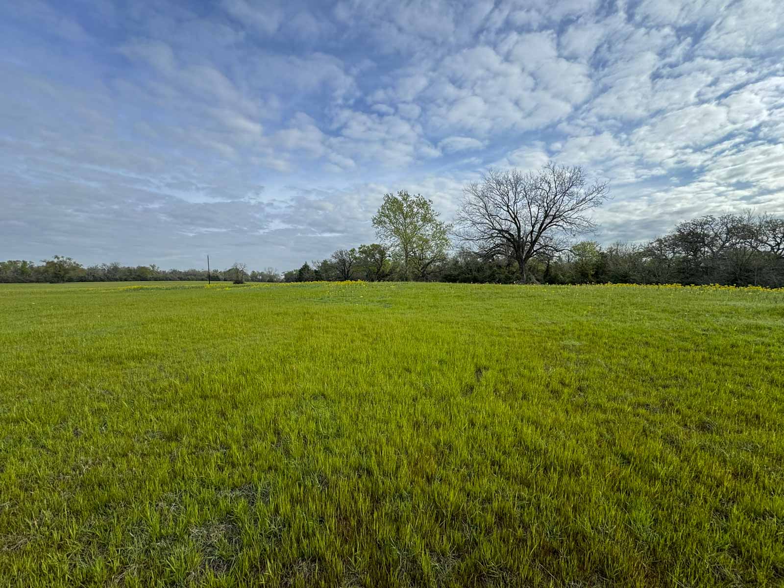 Melton Branch Ranch property picture 13 of 25