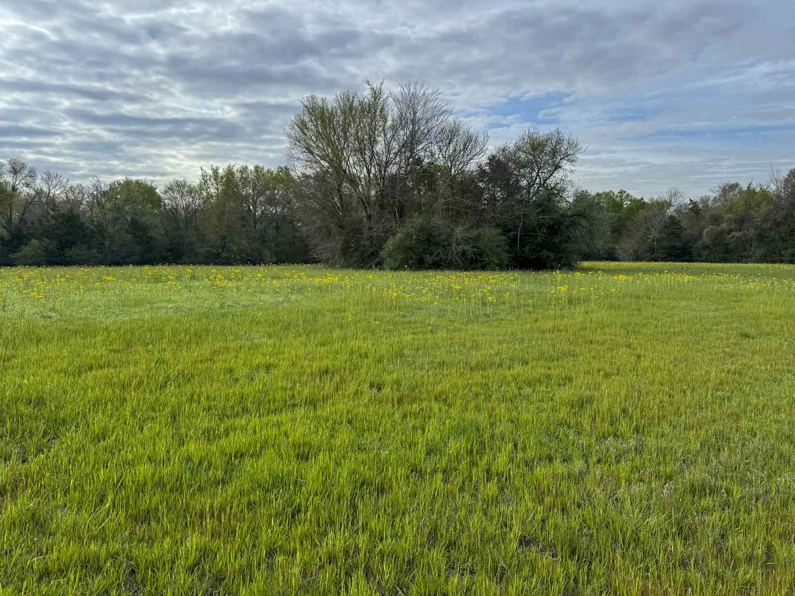 Melton Branch Ranch property picture 19 of 25