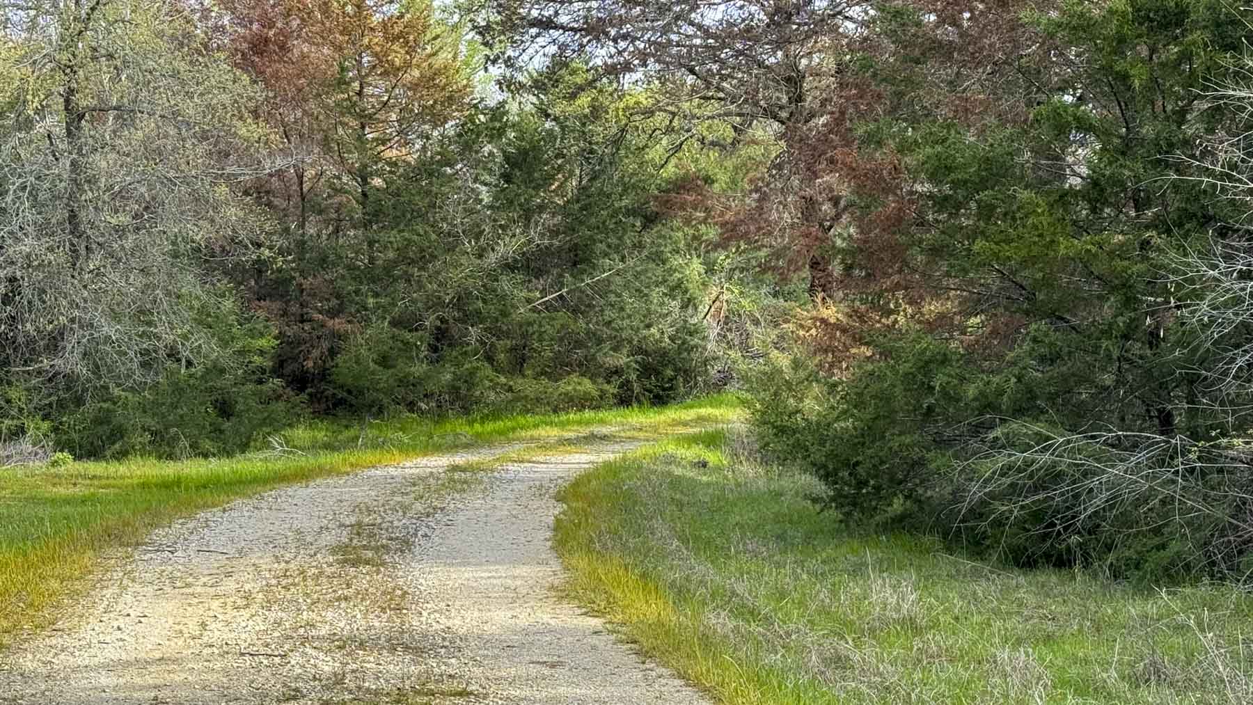 Melton Branch Ranch property picture 4 of 25