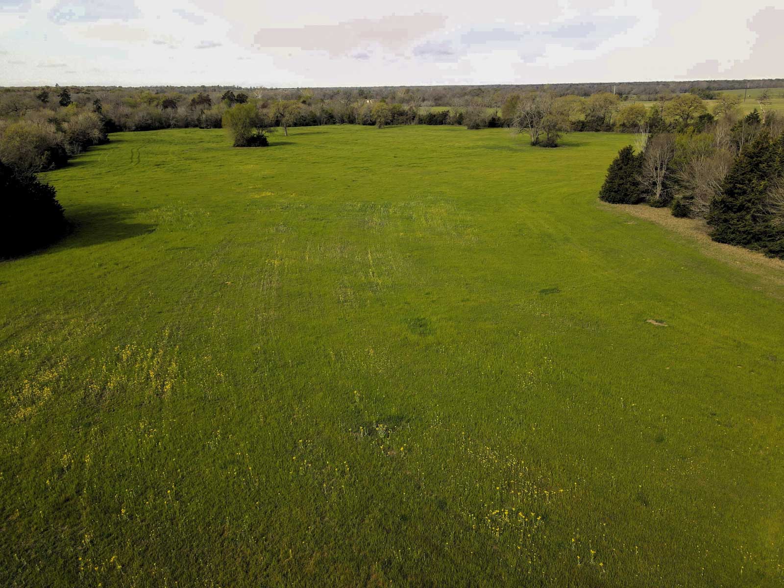 Melton Branch Ranch property picture 23 of 25