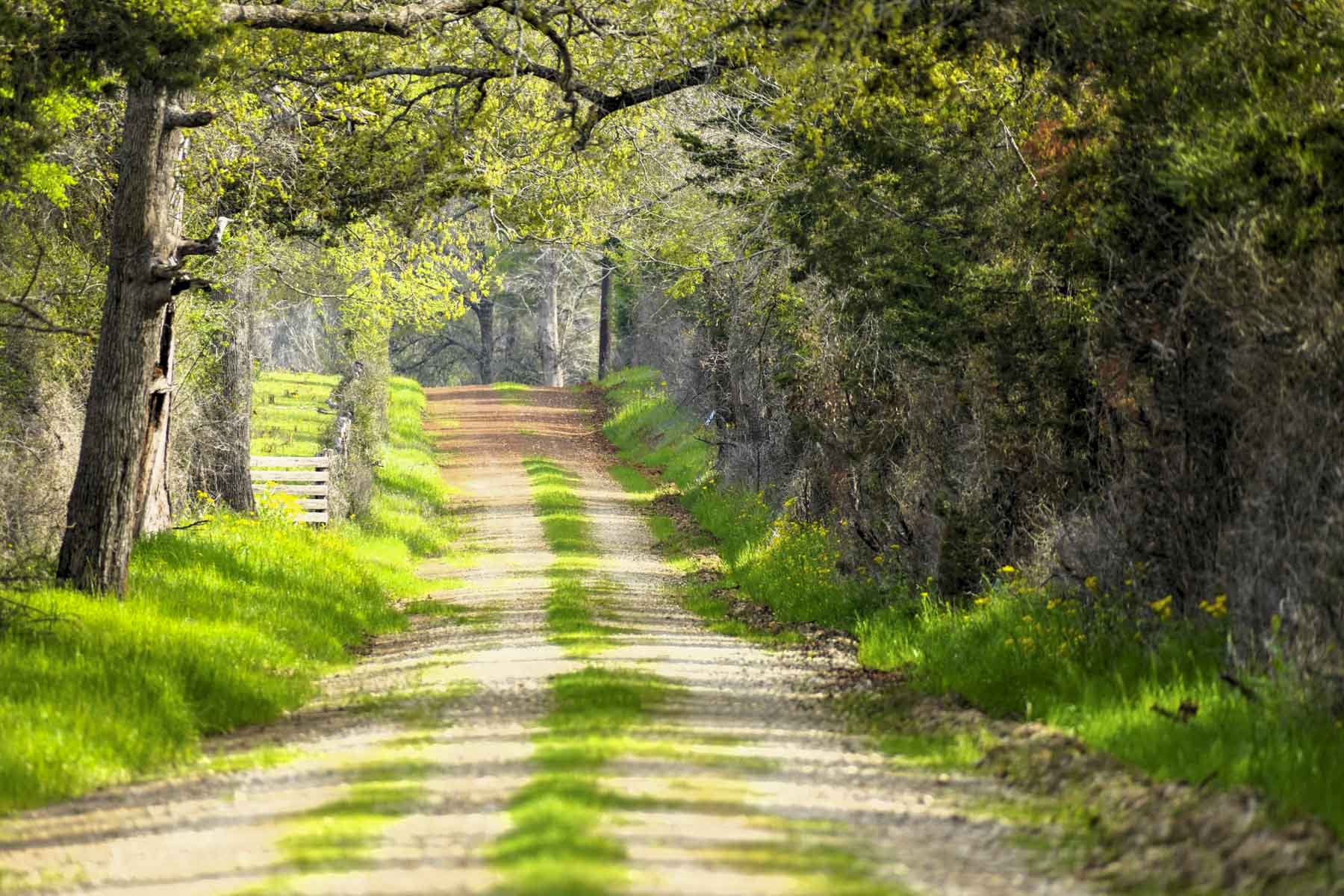 Melton Branch Ranch property picture 6 of 25
