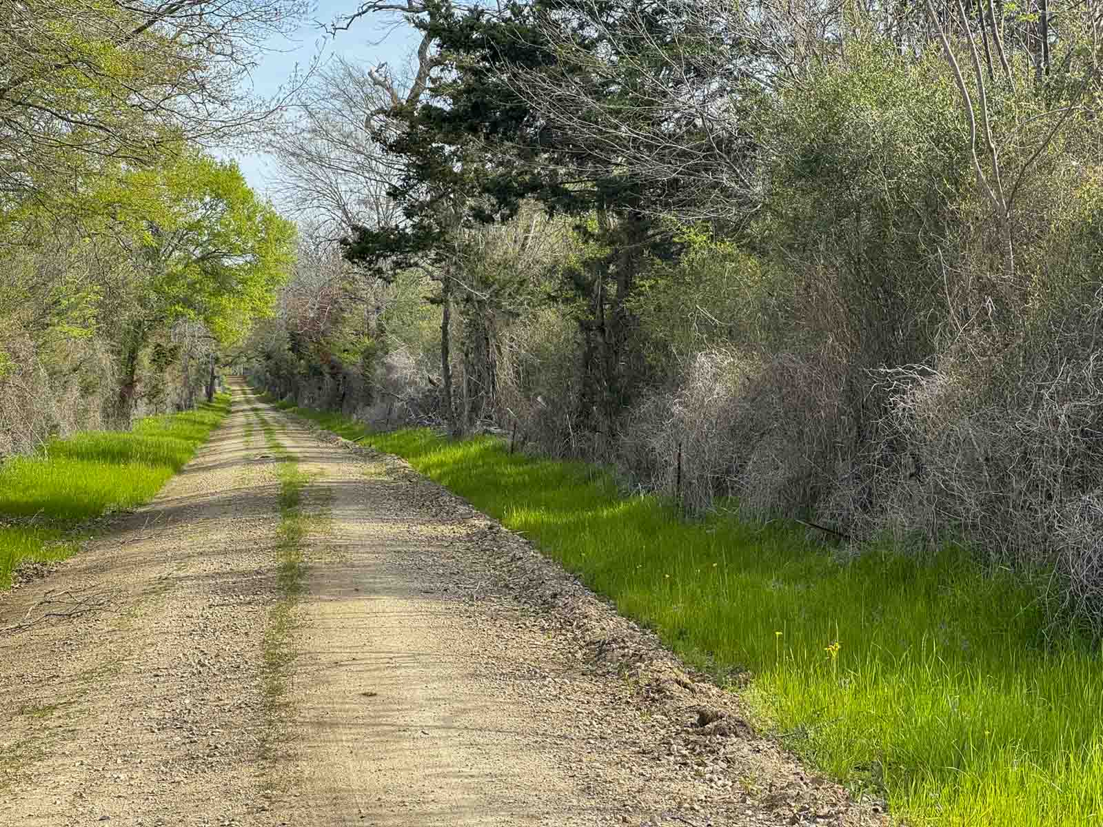 Melton Branch Ranch property picture 5 of 25