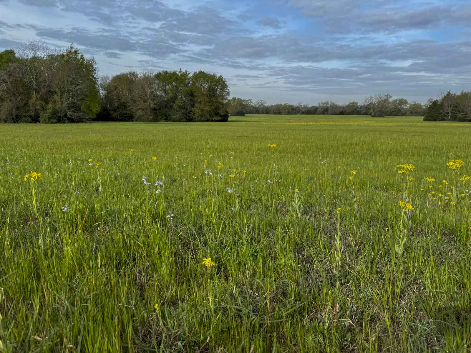 Melton Branch Ranch property picture 25 of 25